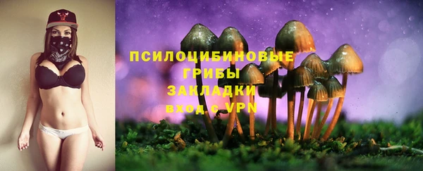 каннабис Гусиноозёрск