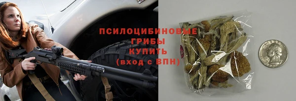 СК Гусев