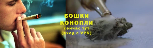 каннабис Гусиноозёрск