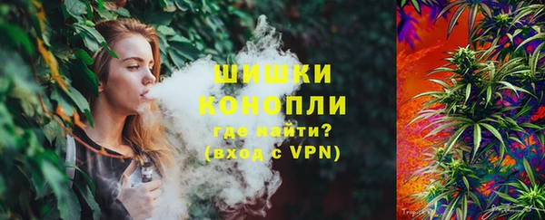 СК Гусев