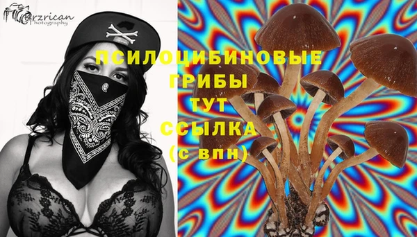 гидропоника Щигры
