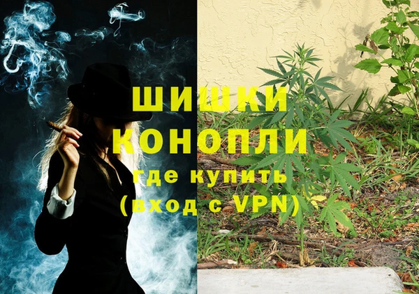 ешки Щучье