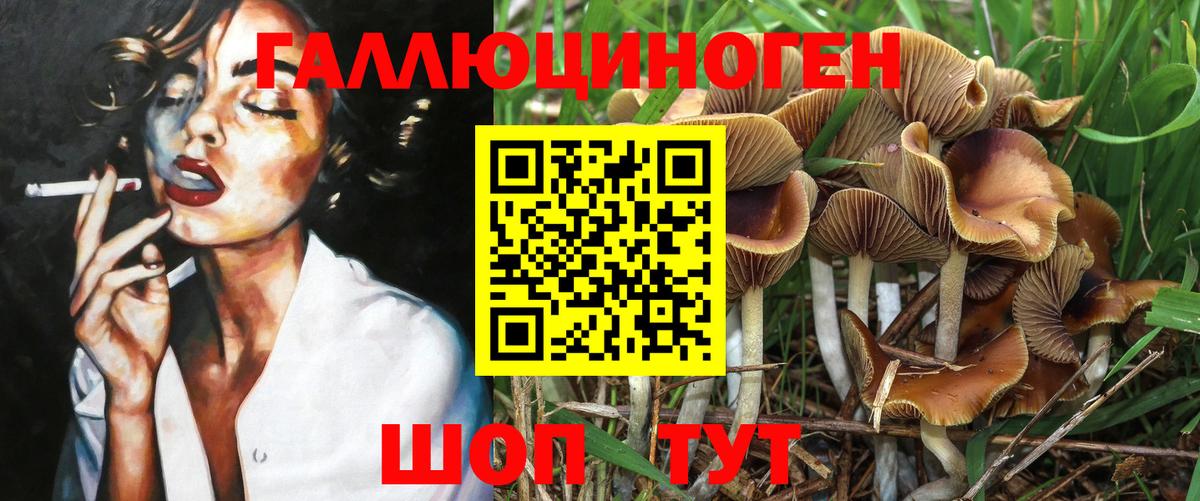 Псилоцибиновые грибы Cubensis Вичуга
